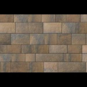 Meet your Posher, Troy